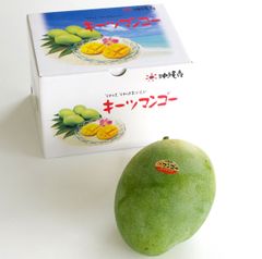 【予約商品】JA選果　沖縄県産　大玉キーツマンゴー  1玉約800グラム