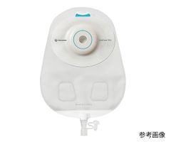 Item thumbnail for item 6eff0034-1337-4906-a118-8e2e61a3d0bf