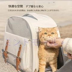 Item thumbnail for item 77b958b1-1470-415e-9084-192dec4d81a4