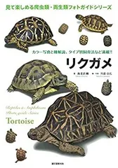 2025年最新】リクガメ 本の人気アイテム - メルカリ