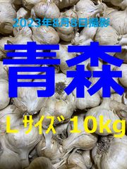 青森県産にんにく１０ｋｇ Ｌサイズ ニンニク１０キロ 福地ホワイト６片種 訳あり
