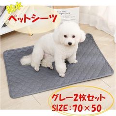 Item thumbnail for item 64fb7e69-f55f-4cfa-a442-8dd57e273b2d