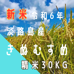 新米 令和6年産 きぬむすめ　精米30キロ 淡路島産 産地直送