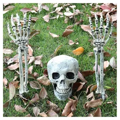 ハロウィン 飾り 骸骨 模型 モデル 3点セット ホラー スカル スケルトン 動式 お化け屋敷 密室 店飾り 道具 人体 骨格 頭蓋骨 幽霊 恐怖 雰囲気満点 装飾 肝試し ゴーストハウス パーティー バー 店飾り