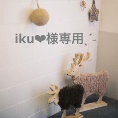 iku❤︎様専用おまとめページˎˊ˗