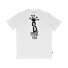 STUSSY ステューシー Tシャツ BIG S LCB SS TEE ビッグS LCB ショートスリーブ Tシャツ ユニセックス メンズ レディース ロゴ カジュアル ストリート 半袖 カットソー トップス 白 ホワイト WHITE ST0M0382