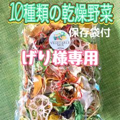 【げり様専用】10種類の乾燥野菜100g