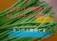 細アスパラガス（М〜SS）800g　ネコポス常温発送のサムネイル