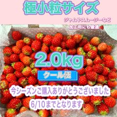 極小粒サイズ 約2.0kg　紅ほっぺ　いちご