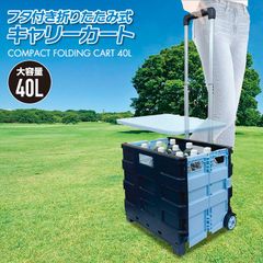 キャリーカート 軽量 折りたたみ キャリアカート ふた付き 折り畳み コンパクト 大容量 40L キャスター付き アウトドア キャンプ ショッピングカート ハンドキャリー