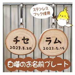 インコちゃんの✩.*˚しらかばのお名前プレート　 選べるフォント♪漢字もOK！