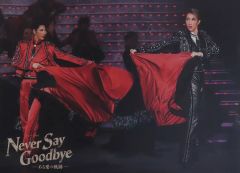 Item thumbnail for item 1bc2356c-c87e-4781-93fb-f0b25d9d1295