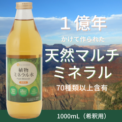 U&I JAPAN 植物ミネラル水 1000mL マルチミネラル フルボ酸