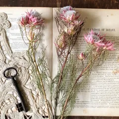 Uq9k8sqykc6iim Uq9k8sqykc6iim