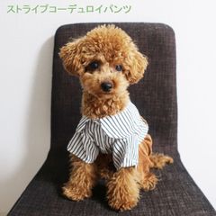 値下げしました☆ストライプコーデュロイつなぎカバーオール　抜け毛防止　オールインワン　犬服　猫服 PAA0050