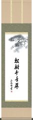 掛け軸 松樹千年翠 黒田正庵 尺三 桐箱 墨蹟掛軸 茶道 茶席掛軸 G5-034