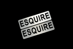 EE-537-2 ESQUIRE 銀黒 アクリル2層 ステッカー トヨタ エスクァイア カスタム 前期 後期 モデリスタ 2枚1セット