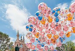 Pちゃんさまさ専用ページ pちゃん様専用ページ - メルカリ