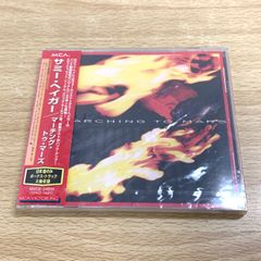 ▲01)【同梱不可】Insects of Surinam/Die Insekten Surinams/スリナムの昆虫/洋書/デザイン/Taschen/A △01)Insects of Surinam/Die Insekten Surinams/スリナムの昆虫