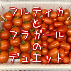 フルティカとフラガールのデュエット！甘くておいしい＼(^o^)／！農家👩‍🌾直送！フルーツトマト！宅急便コンパクト！