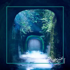 Cö shu Nie ペリカン号でどこまでも CD 激レア Cö shu Nie ペリカン号でどこまでも CD 激レア - メルカリ
