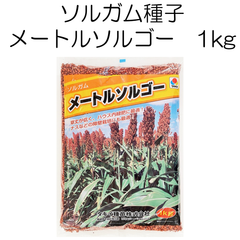 ソルガム種子　メートルソルゴー　1kg　タキイ種苗【種】緑肥の種　夏に強い緑肥