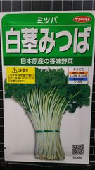 白茎 みつば 三つ葉 種 ３袋セット