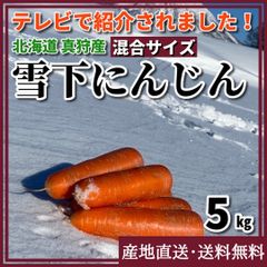 【希少！春限定】雪下にんじん （洗い） 混合サイズ　5kg　北海道真狩村