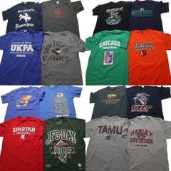 古着卸 まとめ売り カレッジ風 半袖Tシャツ 16枚セット (メンズ M ) チームロゴ 大判プリント 英文字 中古 古着 NB3943