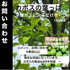 新鮮♬ 大分県産ハウスきゅうり　（胡瓜　キュウリ 新鮮♬ 大分県産ハウスきゅうり （胡瓜 キュウリ - メルカリ