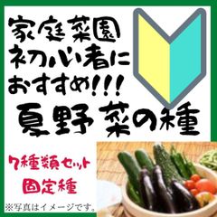 春からでも蒔ける　夏野菜の種　7種類セット　家庭菜園におすすめ　固定種