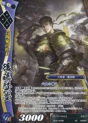 【A456】戦国大戦　TCG カード　1253枚　大量まとめ売り A456】戦国大戦 TCG カード 1253枚 大量まとめ売り 2025年最新】戦国