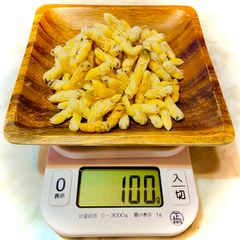 8/18 採取キイロスズメバチ 冷凍蜂の子 400㌘】 - メルカリ