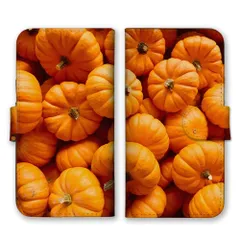 Galaxy A22 SC-56B ケース 手帳型 ギャラクシーA22 スマホケース 携帯ケース 野菜 ベジタブル パプリカ キャベツ ジャガイモ カボチャ トマト 面白い ヘルシー 写真 カラー04