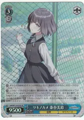 2025年最新】ツキノカメの人気アイテム - メルカリ