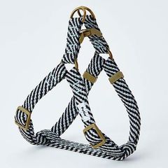 Item thumbnail for item ffcb1696-01c1-43d5-9687-efa1644078a3