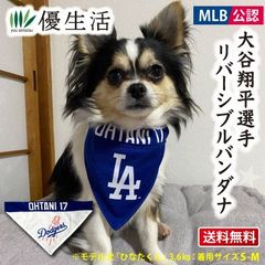 Item thumbnail for item 33d66fb4-b67c-4ade-a61e-36394571aecc