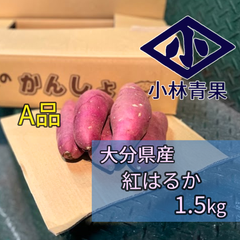 【数量限定品】旬 A品 紅はるか 1.5kg  さつまいも 残り僅か
