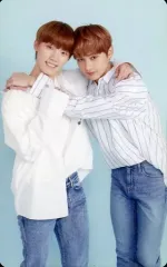 2025年最新】Carat land 2018 ウォヌの人気アイテム - メルカリ