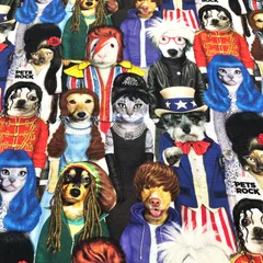 PETS ROCK ペッツロック UK製 オードリーヘップバーン 猫 クッション 2025年最新】PETS ROCK ペッツロックの人気アイテム - メルカリ