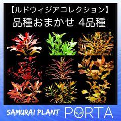 ☆PORTA☆ プロフ確認お願い致します - メルカリShops