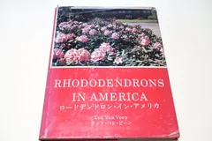 ロードデンドロン・イン・アメリカ バンビーン 豪華な西洋シャクナゲの花々
