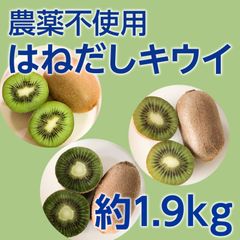 山梨県産キウイフルーツ3種はねだし約1.9kg