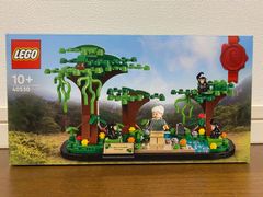 LEGO レゴ 40530 ジェーン・グドール博士とチンパンジーの森　新品未開封