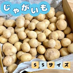 福岡県産 じゃがいもSSサイズ ★宅急便コンパクトいっぱい