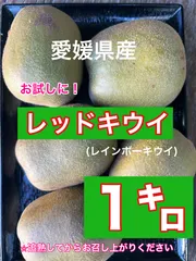 レッドキウイ(レインボーキウイ)1キロ　約15〜20個入り　⭐︎北海道・沖縄の方は別途送料がかかります