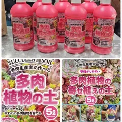 多肉植物の土🌟寄せ植えの土🪴多肉植物の液肥♥️のサムネイル