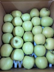 【わけあり品】青森県産りんご「シナノゴールド　CA品」加工・ジュース用　色薄・大キズ・変形・押しキズ有 10kg以上【数量限定】