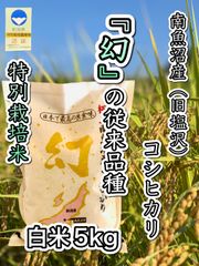 『幻の従来コシヒカリ』令和4年　魚沼産（南魚沼産）コシヒカリ　特別栽培米　白米5kg