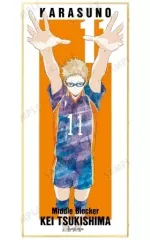 【中古】紙製品 月島蛍 「ハイキュー!! トレーディング Ani-Art 第3弾 スタンド付き色紙」